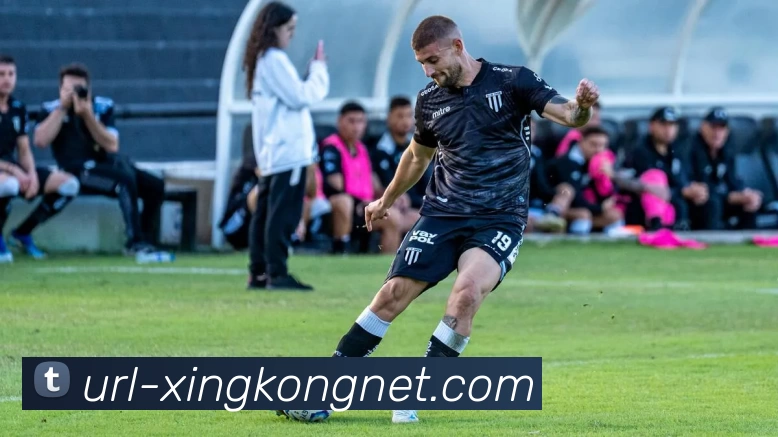 星空体育APP 封面图